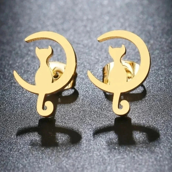 Moon Kitty Hot Stainless Steel Earring - Picture 1 of 1